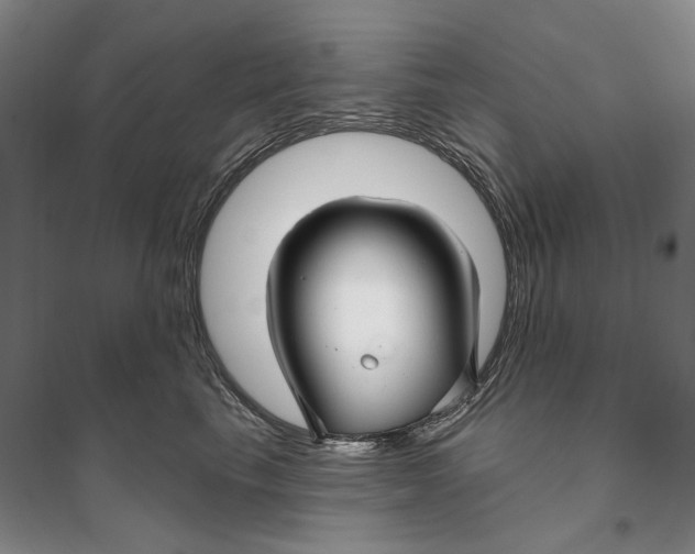 X0000096710665200802261630