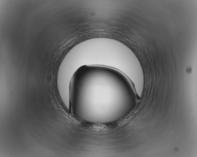 X0000096710666200802261630