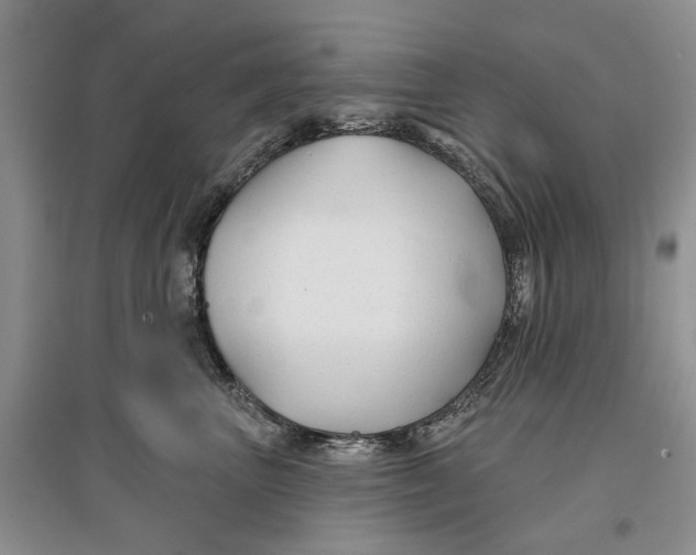 X0000096710667200802261630