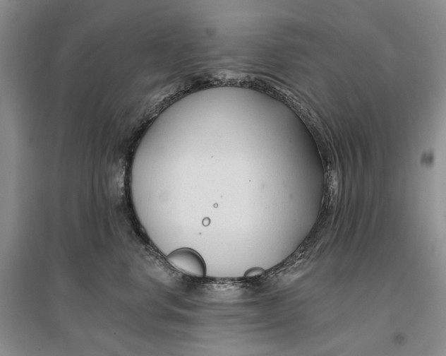 X0000096710668200802261630