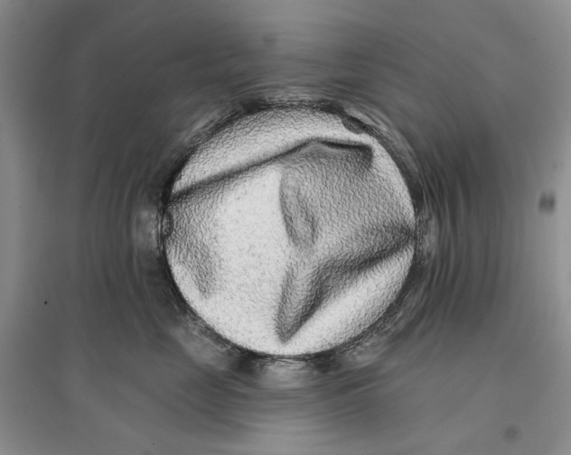 X0000096710669200802261630