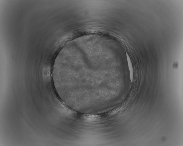 X0000096710670200802261630