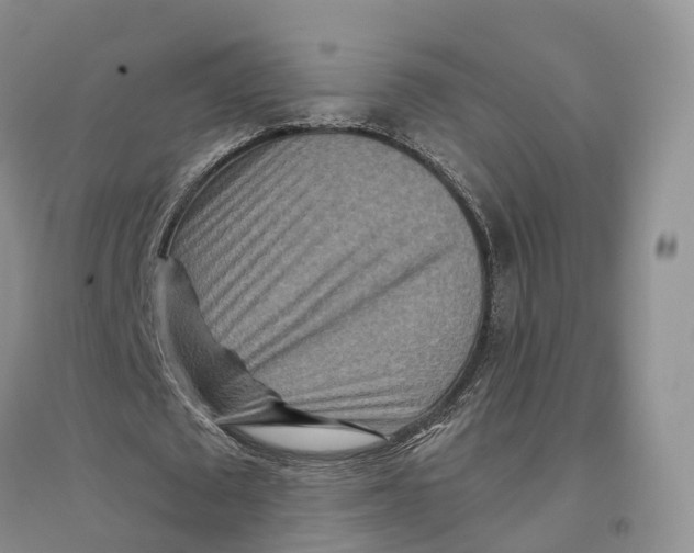 X0000096710673200802261630