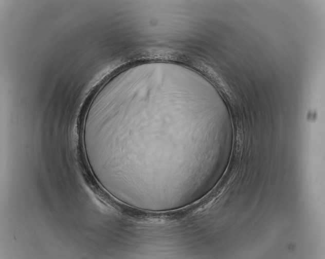 X0000096710674200802261630