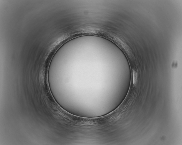 X0000096710675200802261630