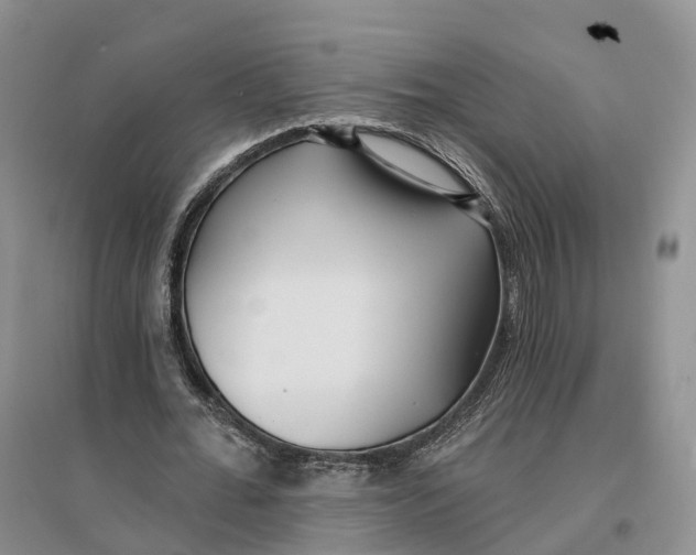 X0000096710676200802261630