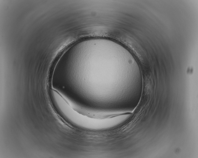 X0000096710677200802261630