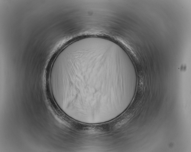 X0000096710678200802261630