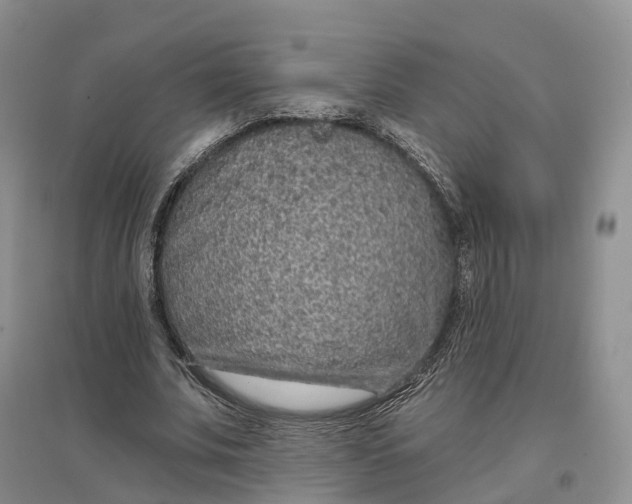 X0000096710679200802261630