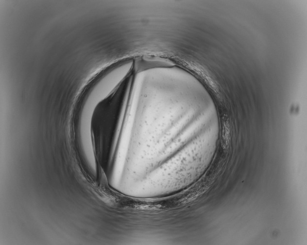 X0000096710680200802261630