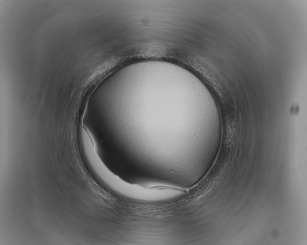 X0000096710681200802261630