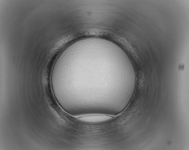 X0000096710683200802261629