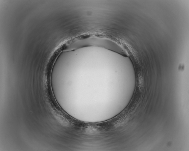 X0000096710684200802261629