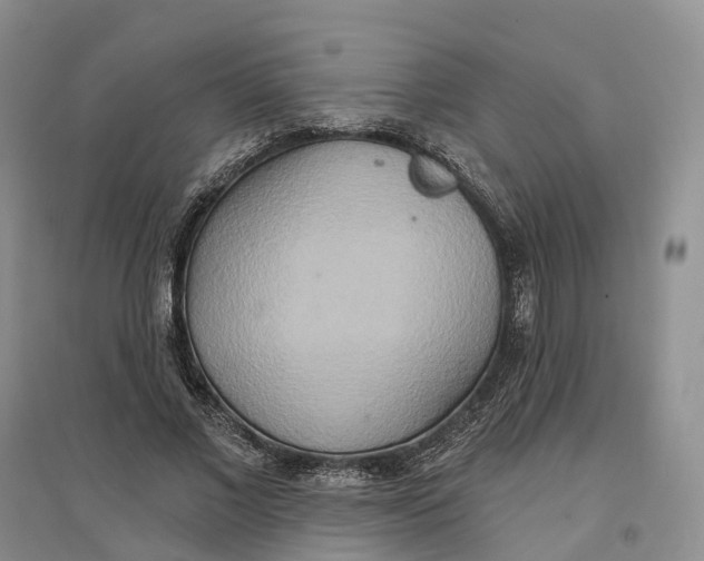 X0000096710685200802261629