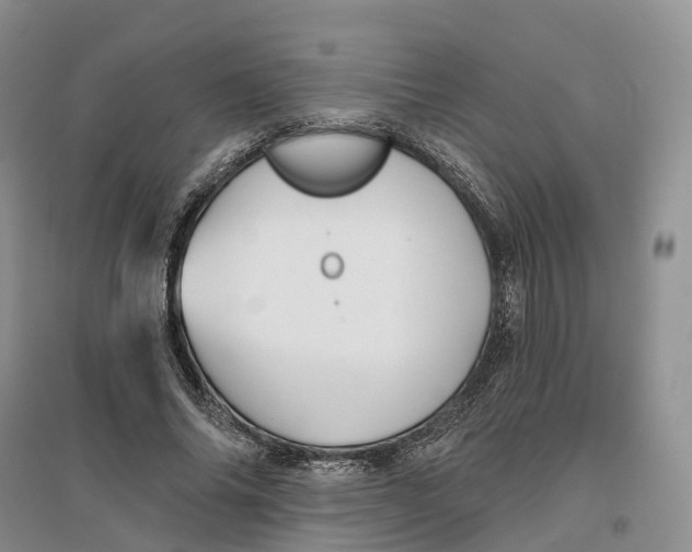 X0000096710686200802261629