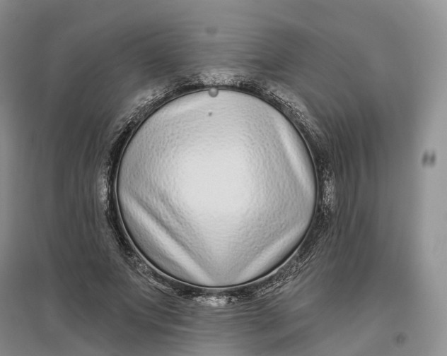 X0000096710687200802261629