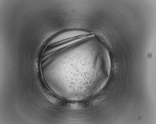 X0000096710688200802261629