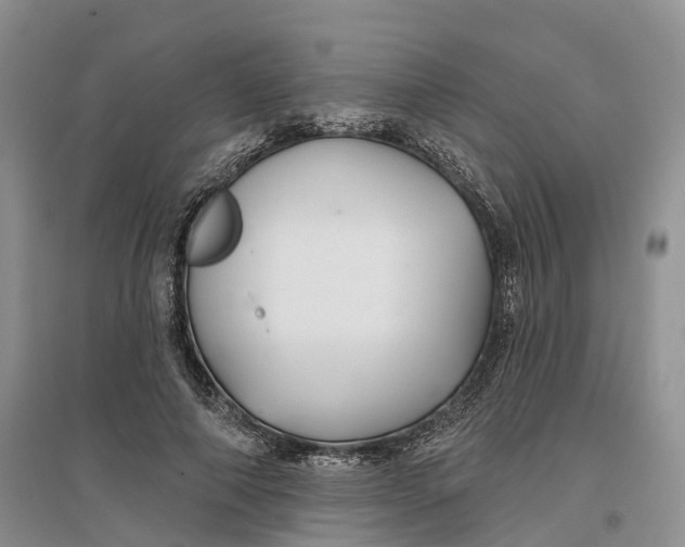 X0000096710690200802261629