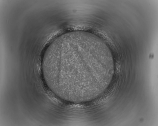 X0000096710691200802261629