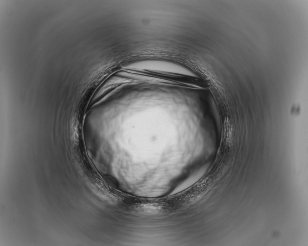 X0000096710692200802261629