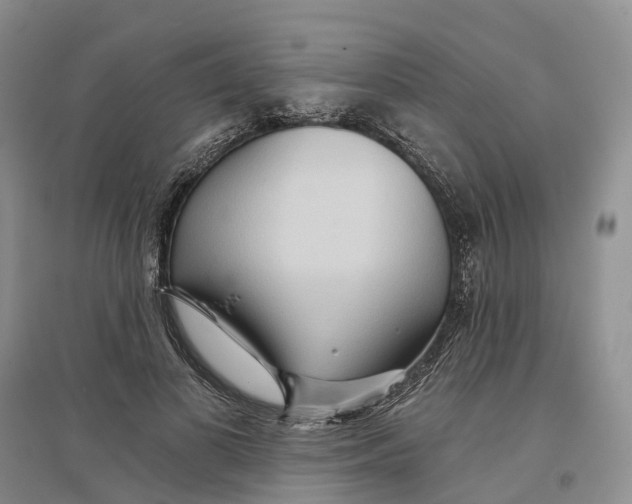 X0000096710693200802261629