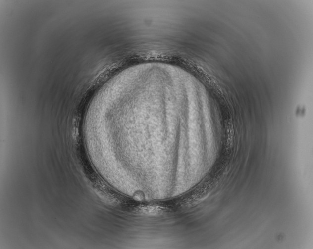 X0000096710695200802261629