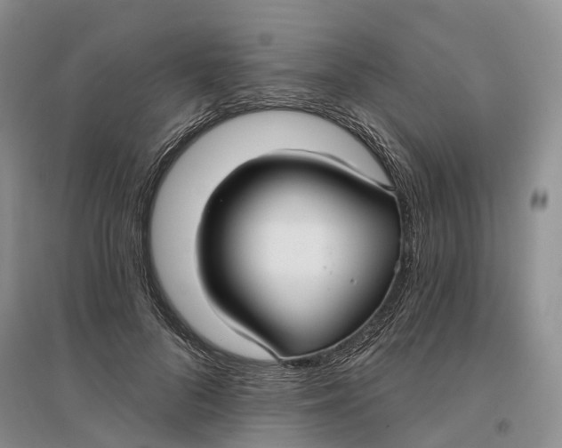 X0000096710696200802261629