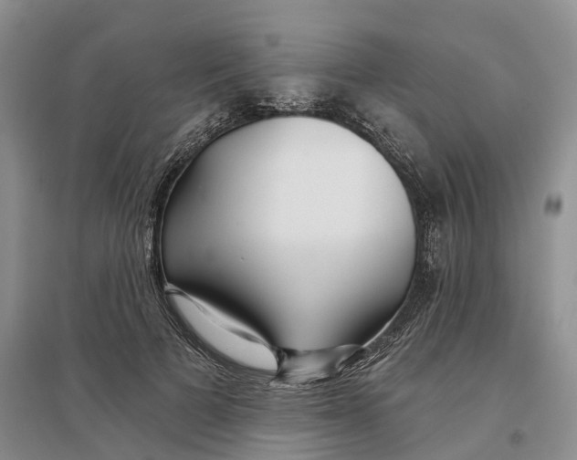 X0000096710697200802261629