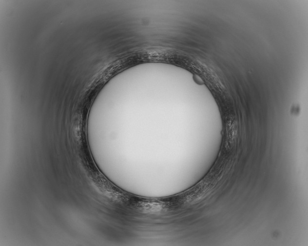 X0000096710698200802261629