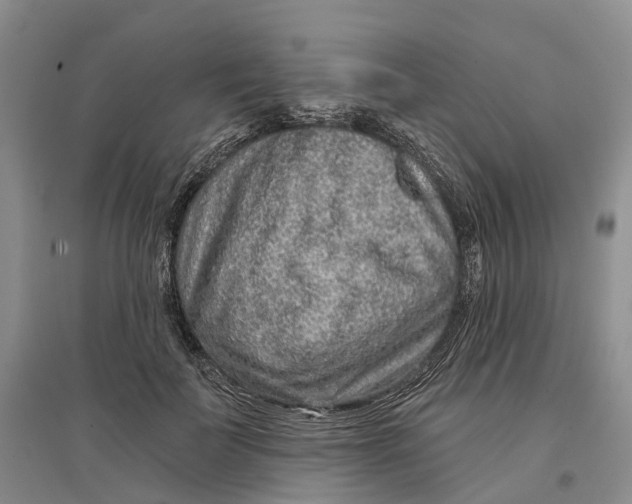 X0000096710699200802261629