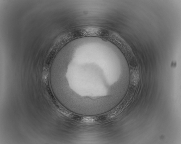 X0000096710701200802261629