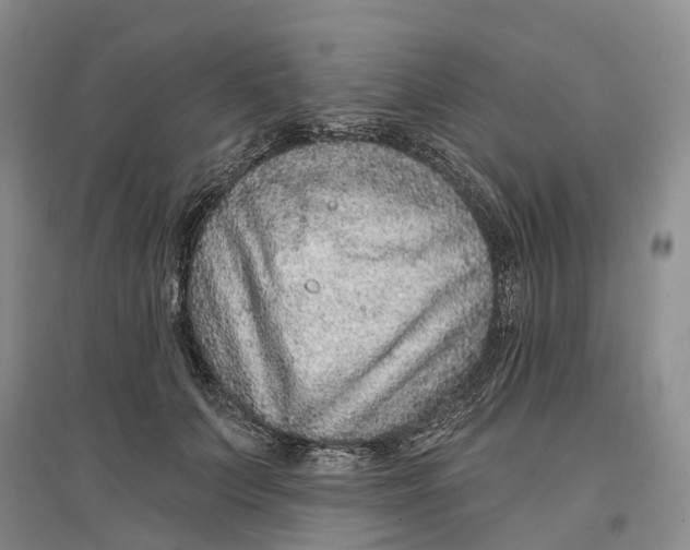 X0000096710703200802261629