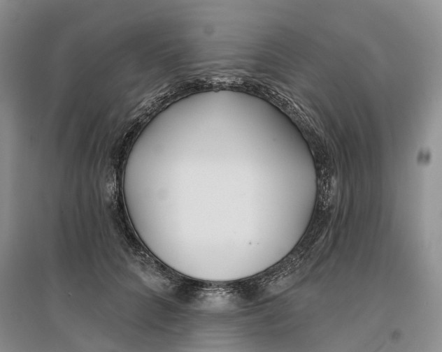 X0000096710704200802261629