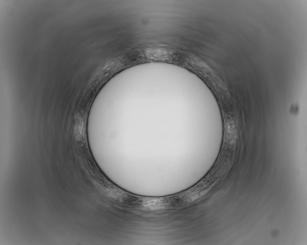 X0000096710705200802261629