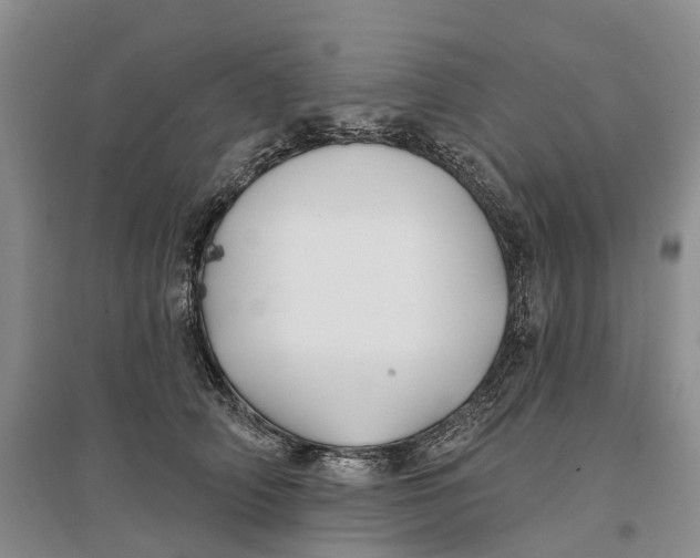 X0000096710706200802261629