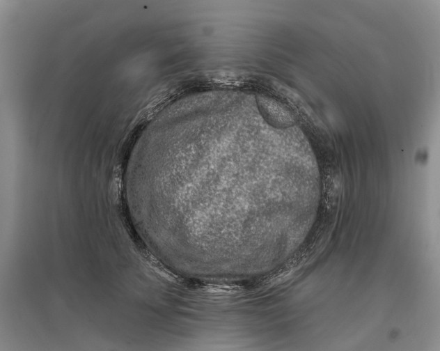 X0000096710707200802261629