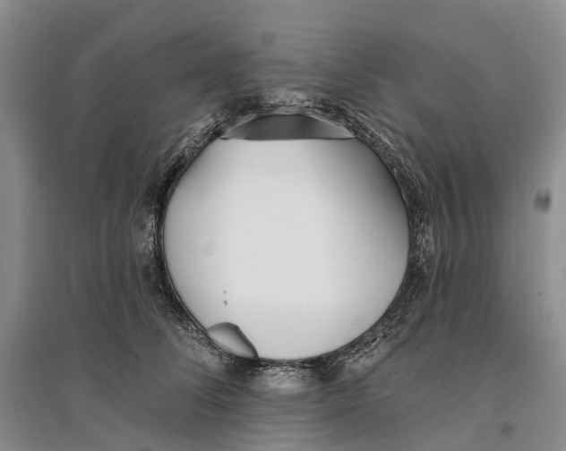 X0000096710708200802261629