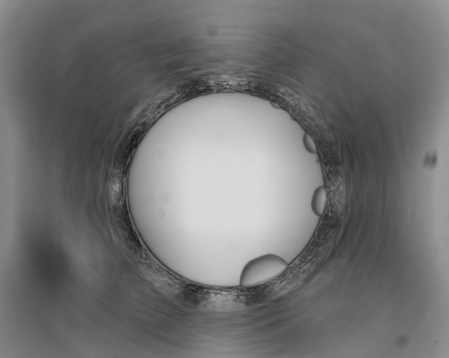 X0000096710709200802261629