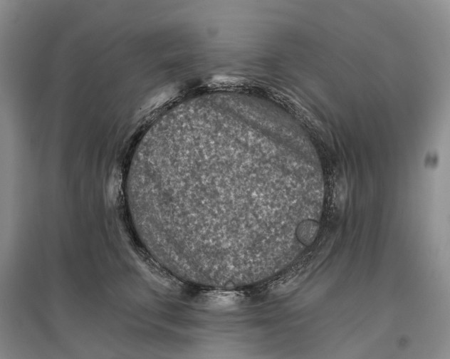 X0000096710711200802261629