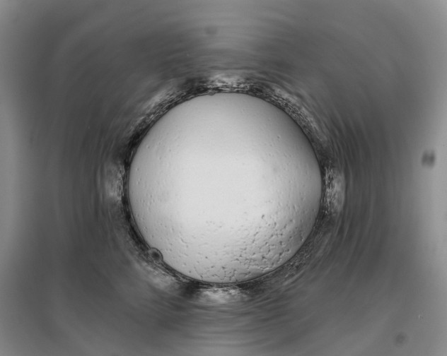 X0000096710712200802261629