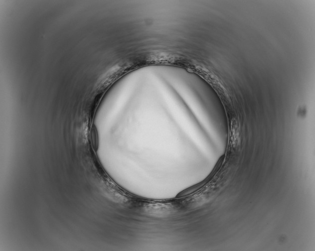 X0000096710716200802261629