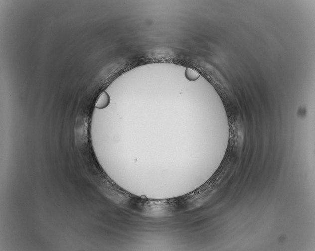 X0000096710717200802261629