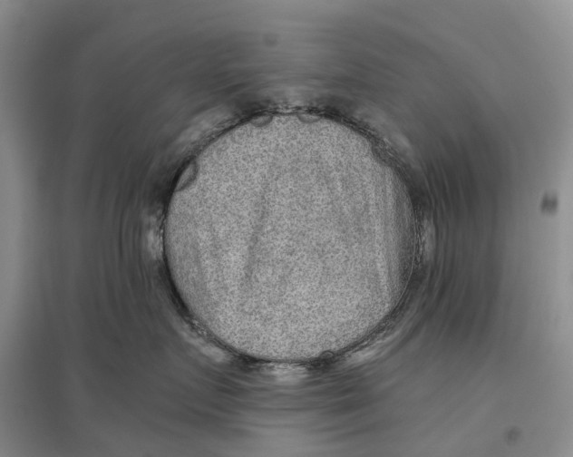 X0000096710719200802261629