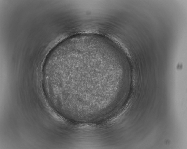 X0000096710721200802261628