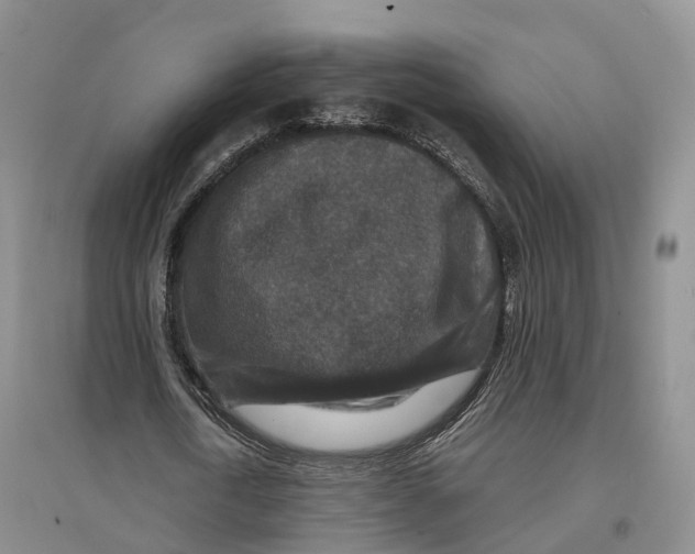 X0000096710722200802261628