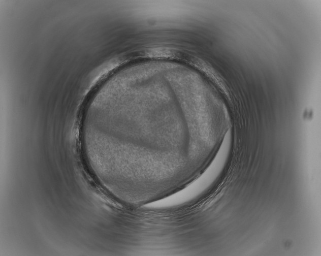 X0000096710723200802261628