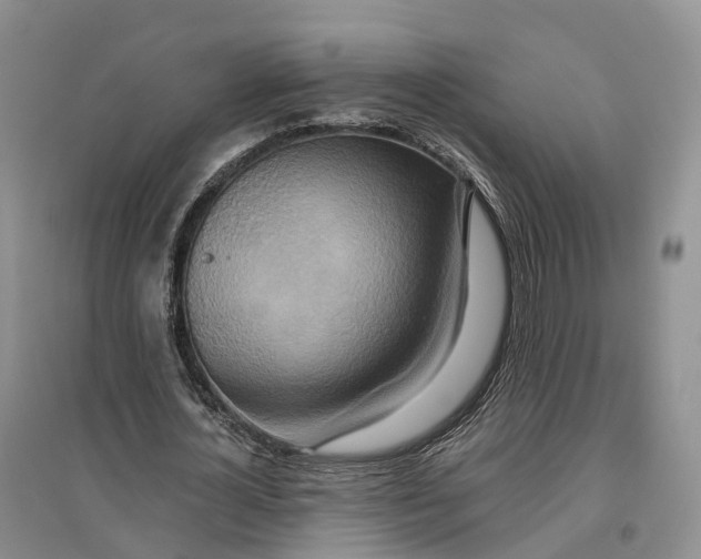 X0000096710724200802261628