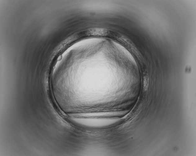 X0000096710725200802261628