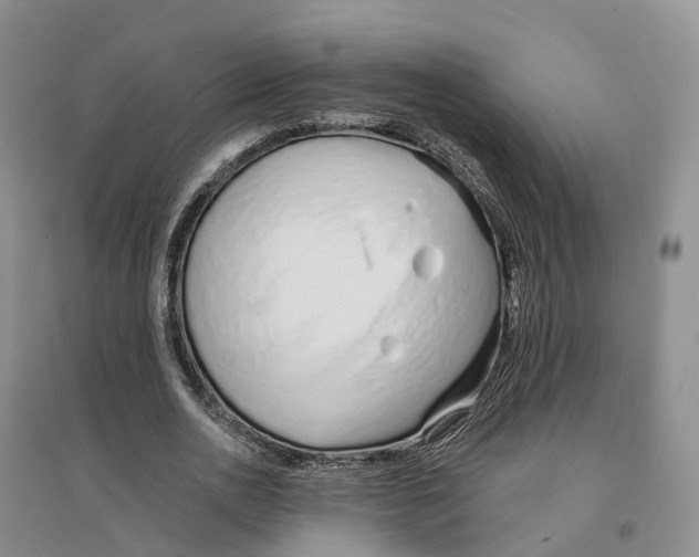 X0000096710726200802261628