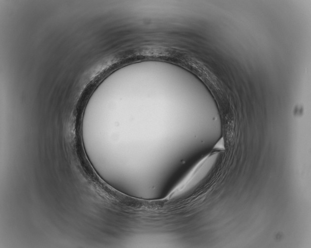 X0000096710727200802261628